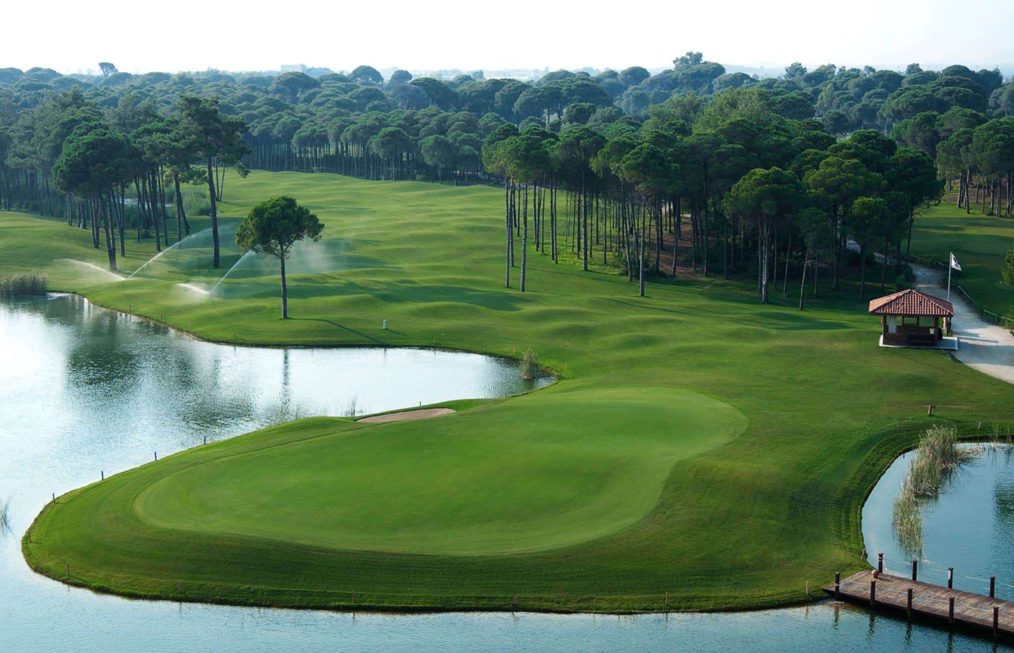 Pines Course 1