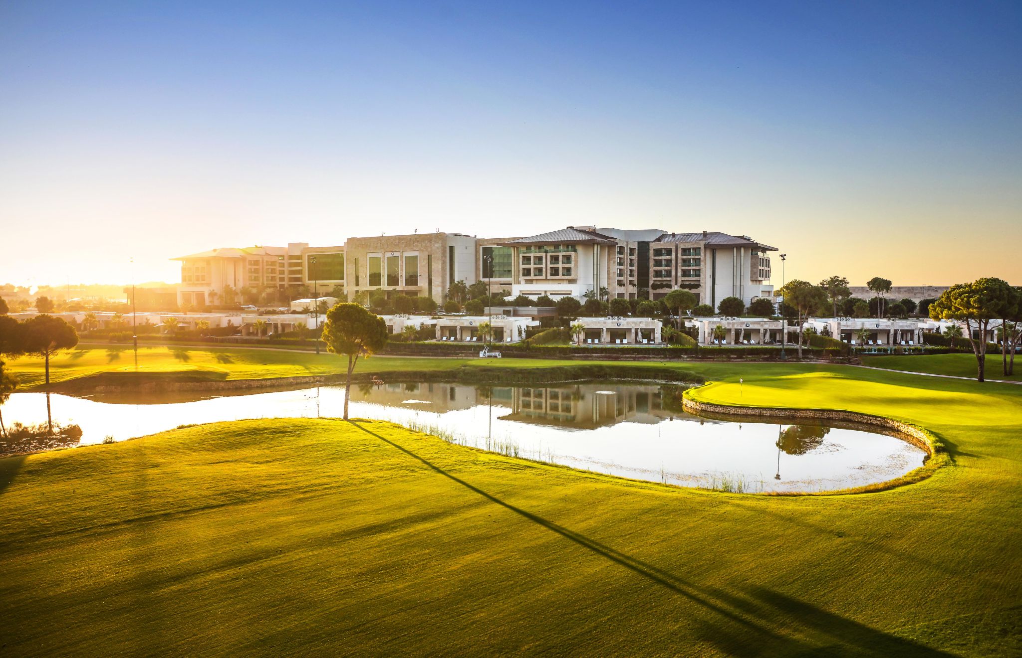Regnum Carya 8